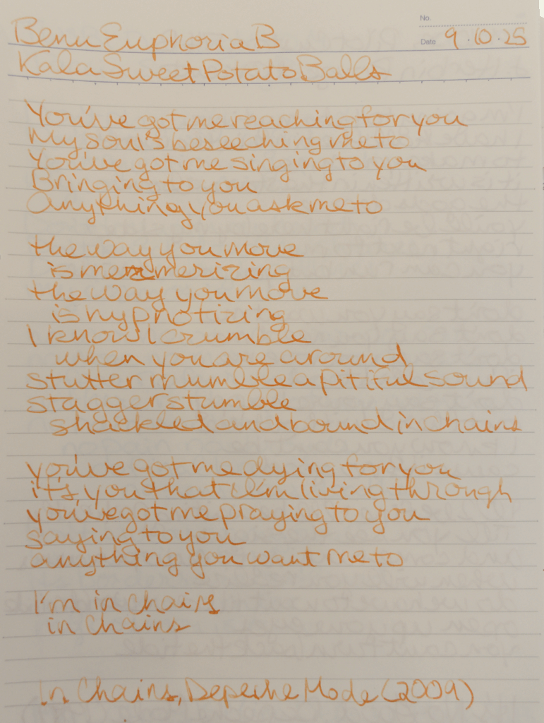 Writing sample of Kala Ink Sweet Potato Balls with a Benu Euphoria B on Kokuyo Campus loose leaf